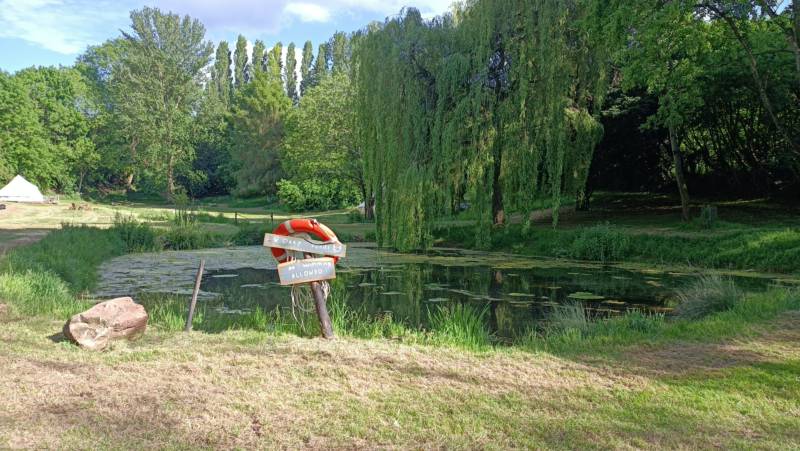 Willow View - Nearly-wild, woodland pitch