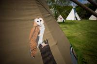 Large Tipi 1 - Village Field