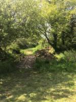 Cherry Blossom, private 6M Bell Tent