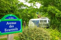 Camping Pitch 1