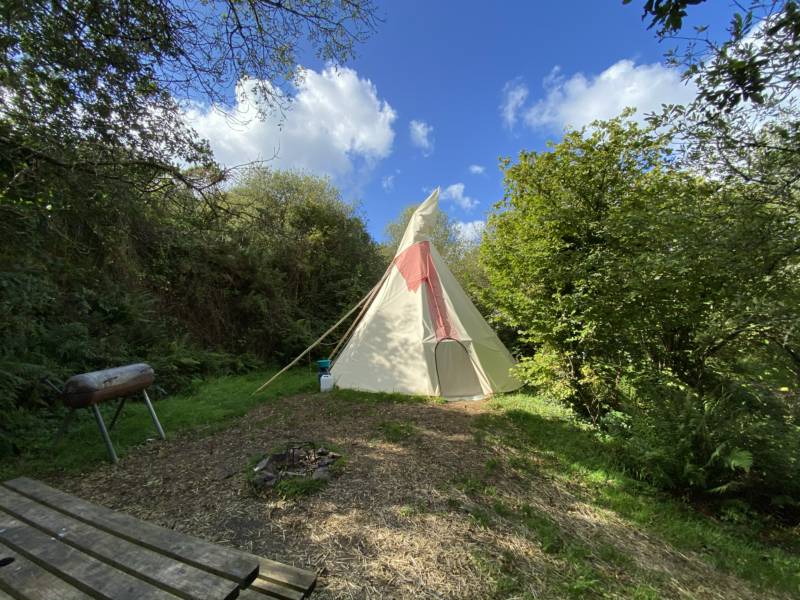 Jackies Large - Large Tipi - Private Site