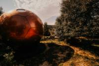 The Red Kite Conker