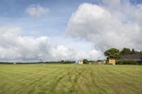 Grass Pitch