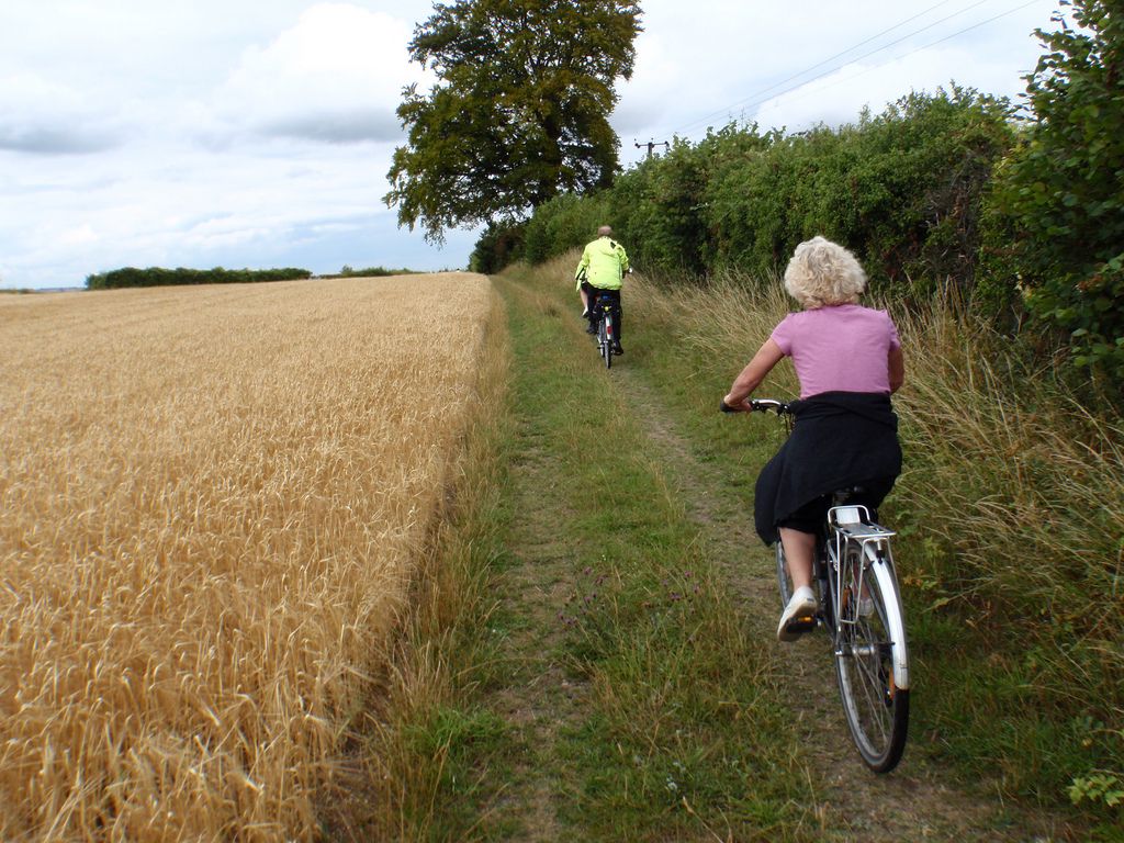 chiltern cycleway route map