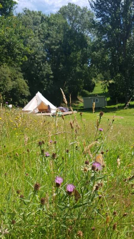 Tilia Bell Tent   (Dog Friendly)