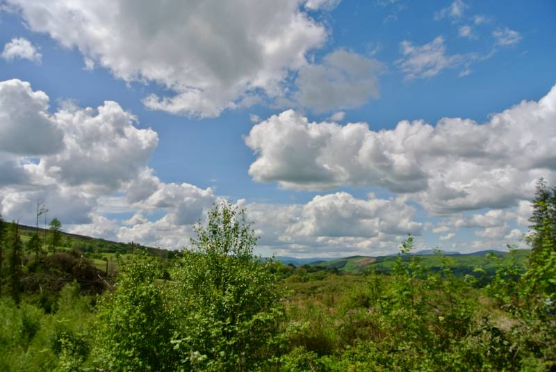 Ty Crwn Bach Idris - Yurt