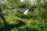 4m x 2.5m Small woodland pitch No. 1