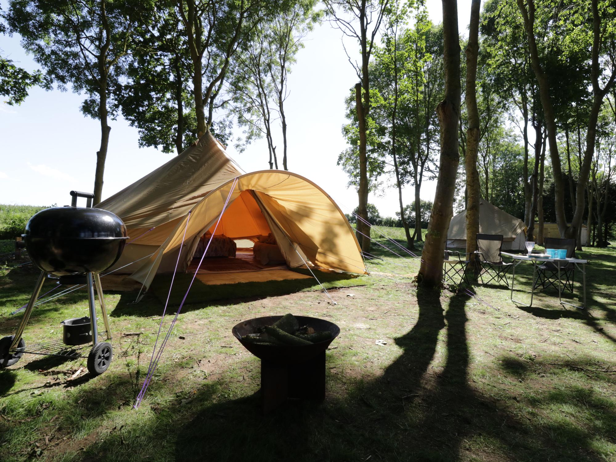 Campsites in Bala