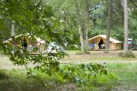 The Classic V Wood & Canvas Tent