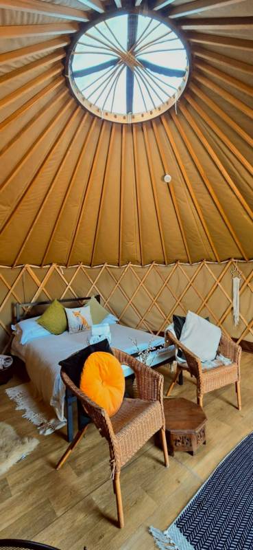Ragwort Yurt