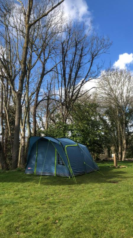 The Glade - family grass pitch