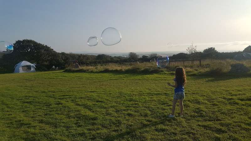 Dog Friendly Camping for 1-6 people