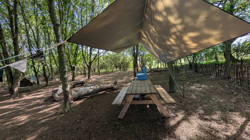 HamCamp, Pre-Pitched Hammocks in the Woods