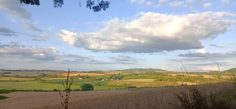 Wharton Shepherd's Hut