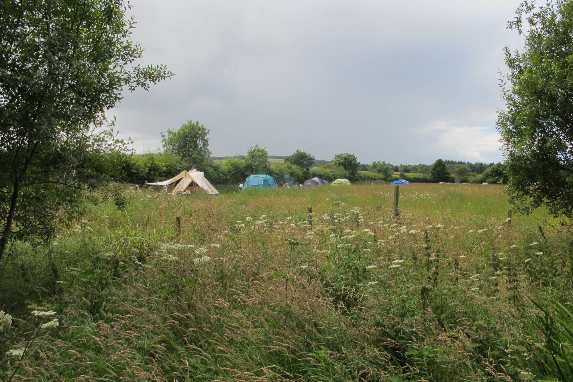 Campsites in Angus holidays at Cool Camping