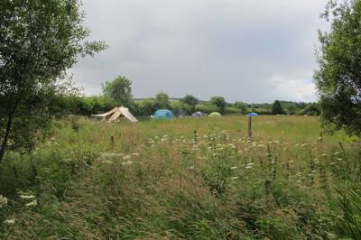 Glamping and camping in five gorgeous acres of wild flower meadow in Eastern Scotland.
