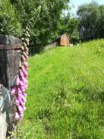 Ardwyn Pod