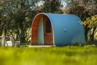 Bluebell