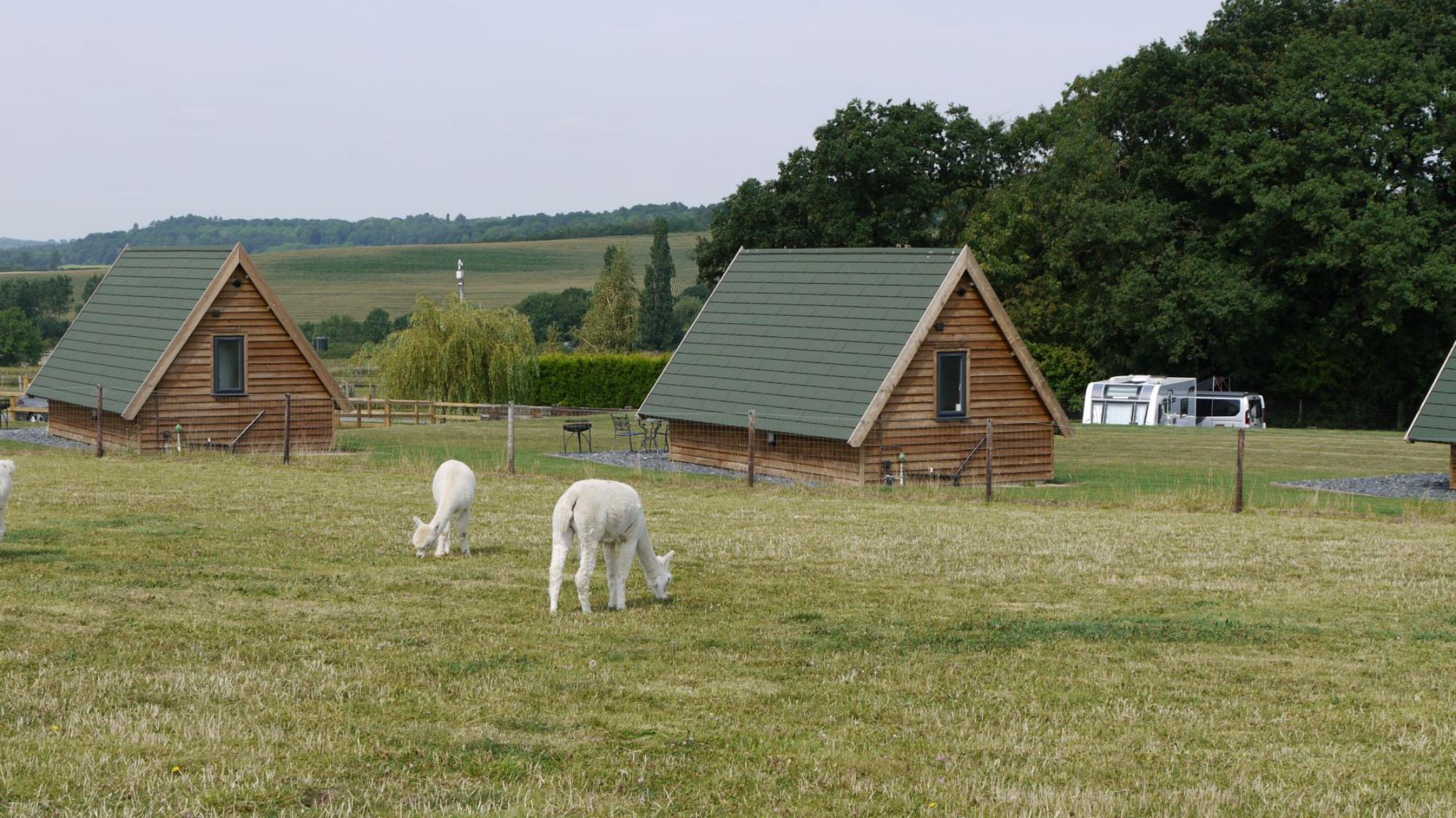 Campsites in Loughborough – I Love This Campsite