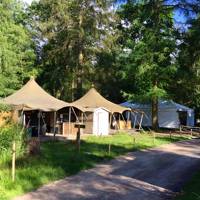 Lodge Tent