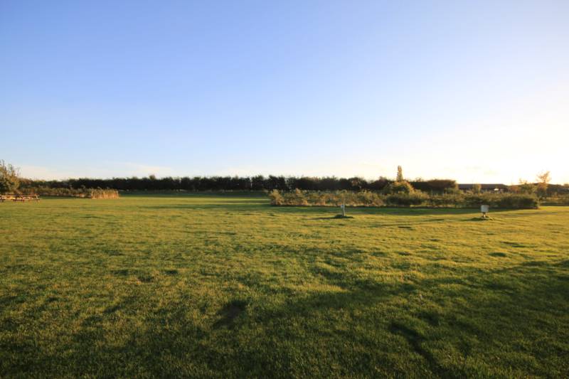 Grass electric pitch B3