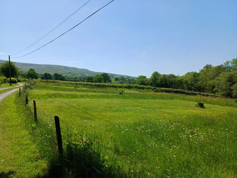 PERSEUS (Tent Pitch)