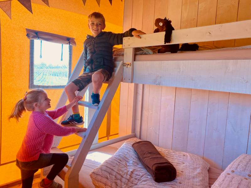 Swallow's Snug Safari Tent