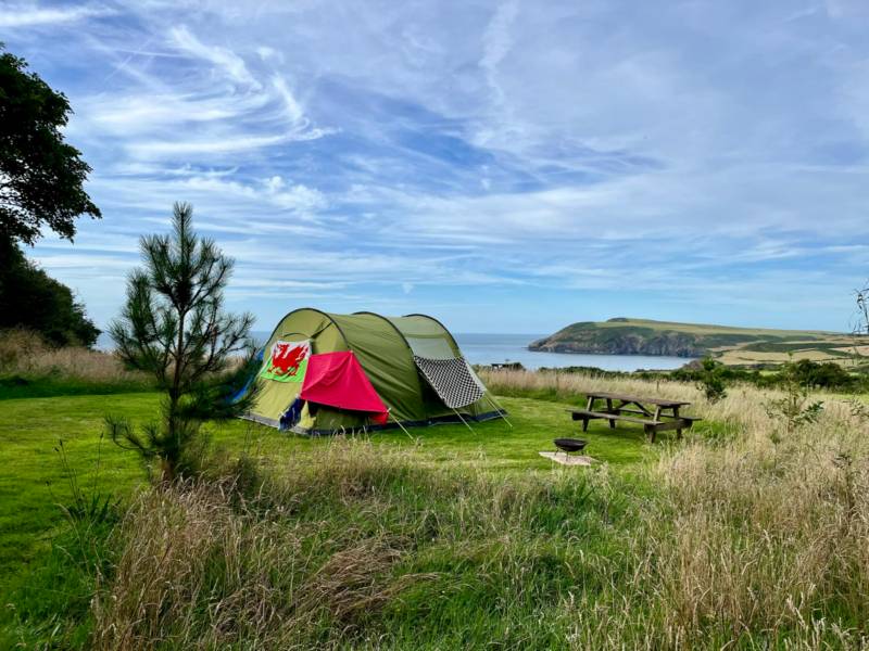 Sea view meadow grass pitch
