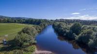 Gypsy Caravan (sleeps 2 people)