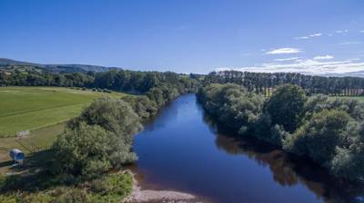 Gypsy Caravan (sleeps 2 people)