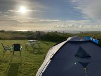 Buzzard Grass Pitch (electric)