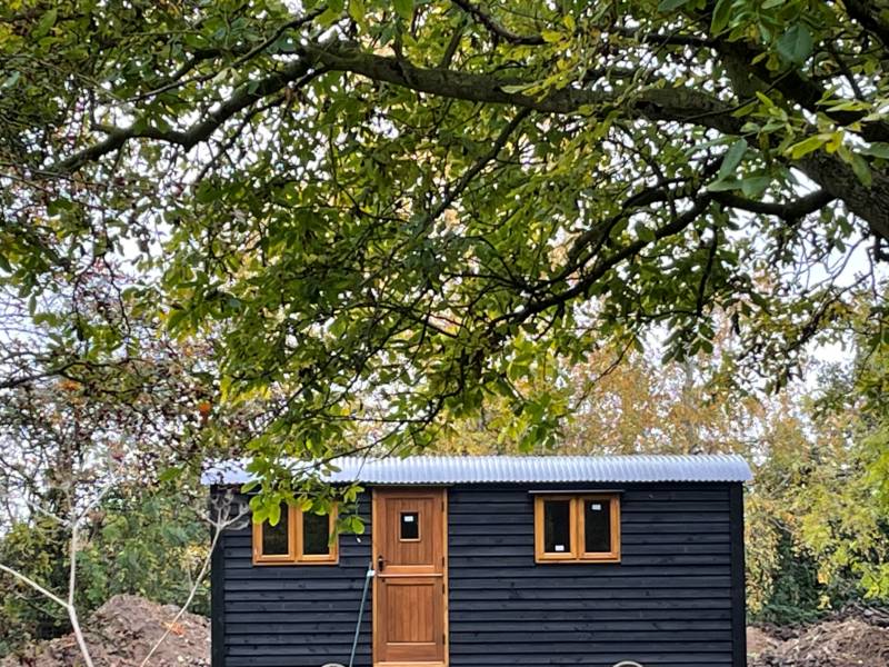 Woodpecker Shepherd's hut