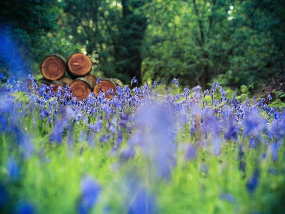 Glamping in Surrey – The best glamping locations in Surrey – Cool Camping