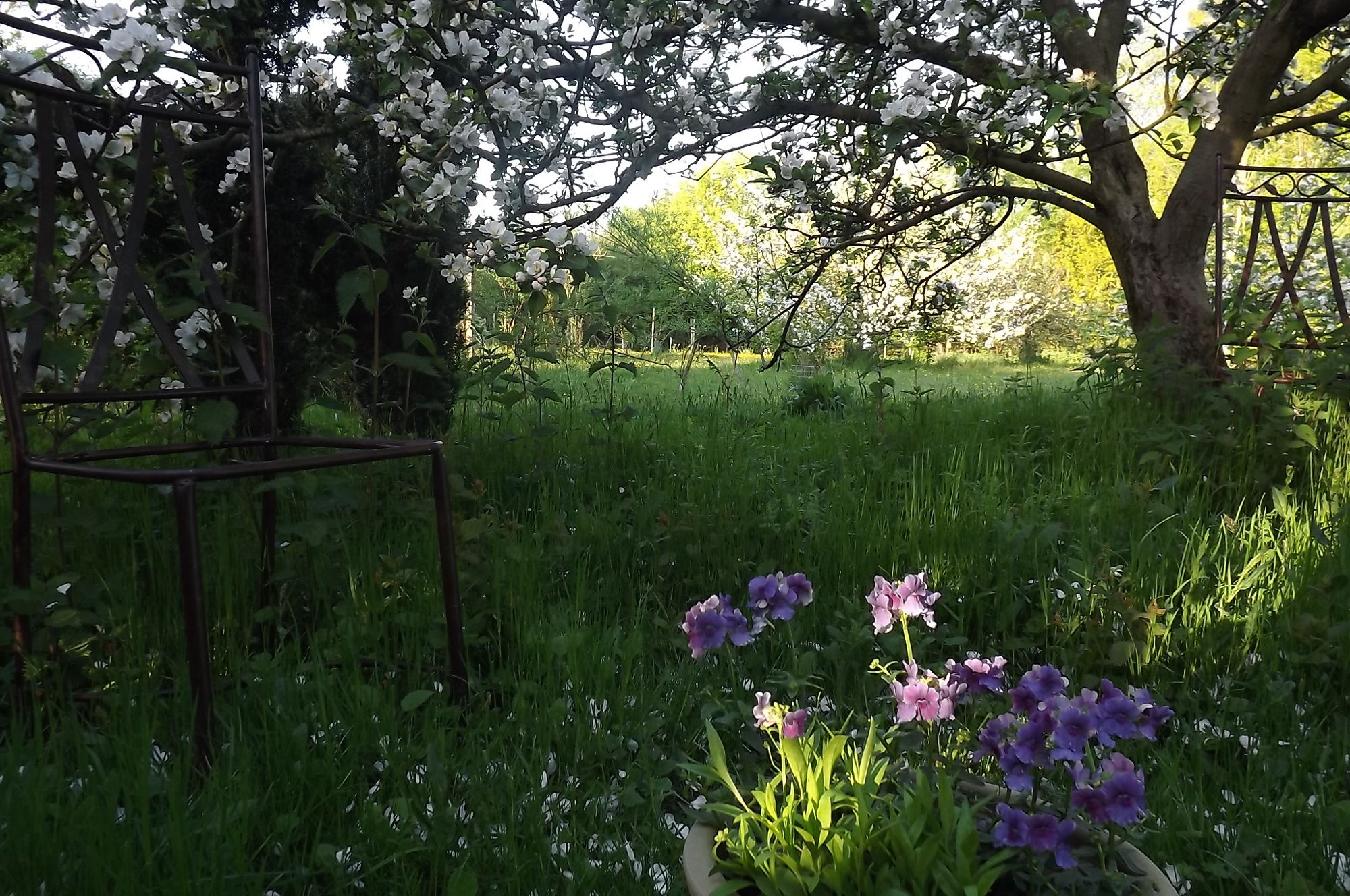 Campsites in Maidstone holidays at Cool Camping