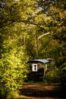The Bodiam Shepherd's Hut