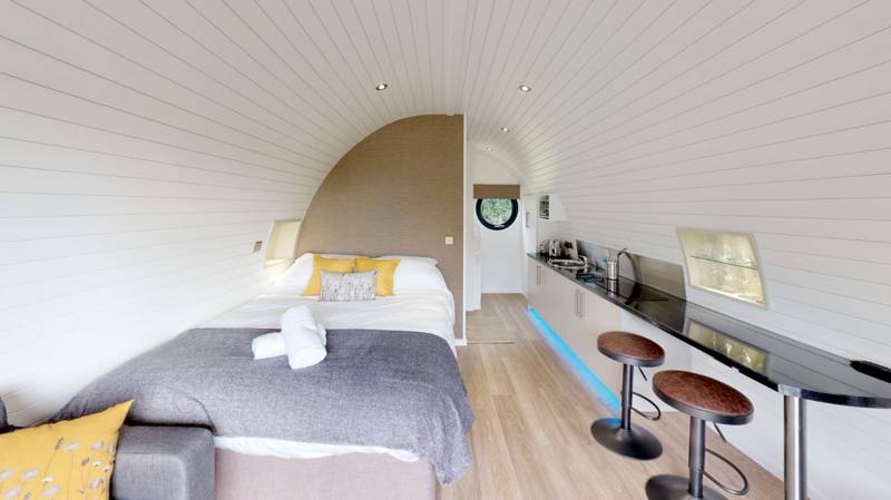 Lapwing