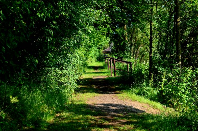 Shepherd's Hut - Logan