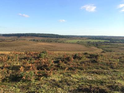 Grass Pitch - Motorhomes only