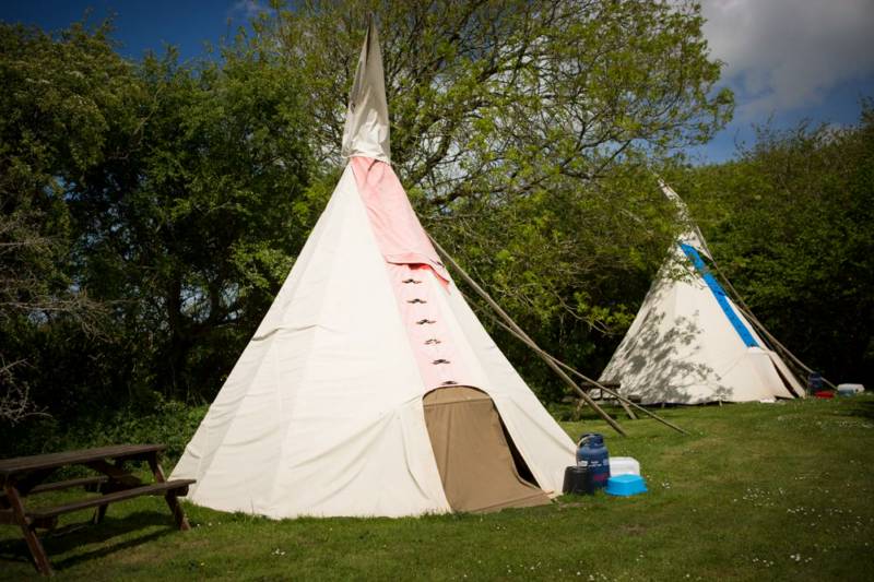 Medium Tipi 7- Village Field