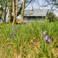 Safari tent with views over the beautiful Tywi valley