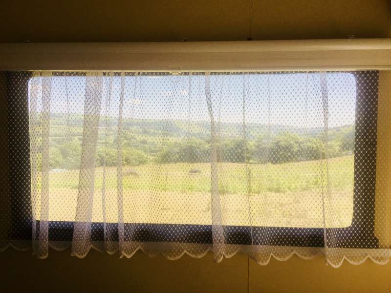 Wild Rose Vintage Caravan