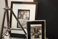 Amy Johnson Suite