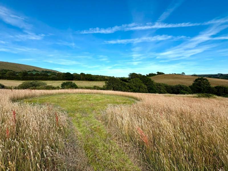 Meadow Pitch