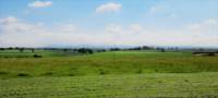 Electric hook up grass camping pitches