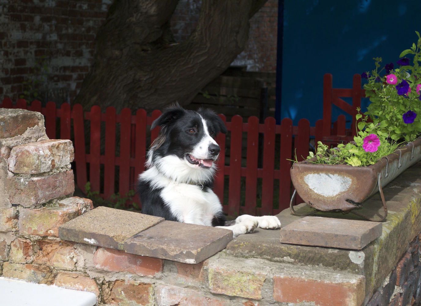 Cool Camping Campsites & Glamping in the UK and Europe Special