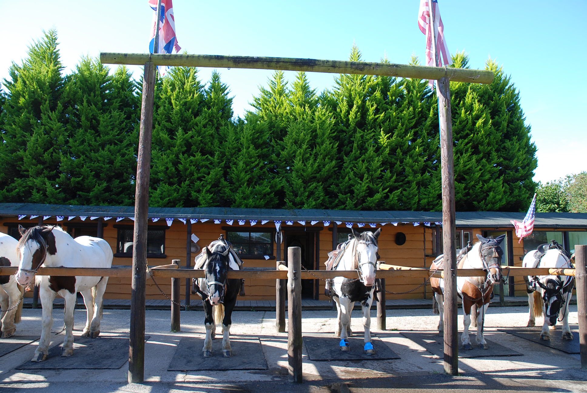 Burley Villa Equestrian Centre, Hampshire Cool Places