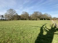 Grass Pitch