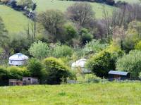 Fern Pippin Yurt