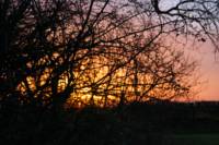 Burrington Tipi