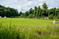 Upper Meadow TENT pitch (vehicle free field)